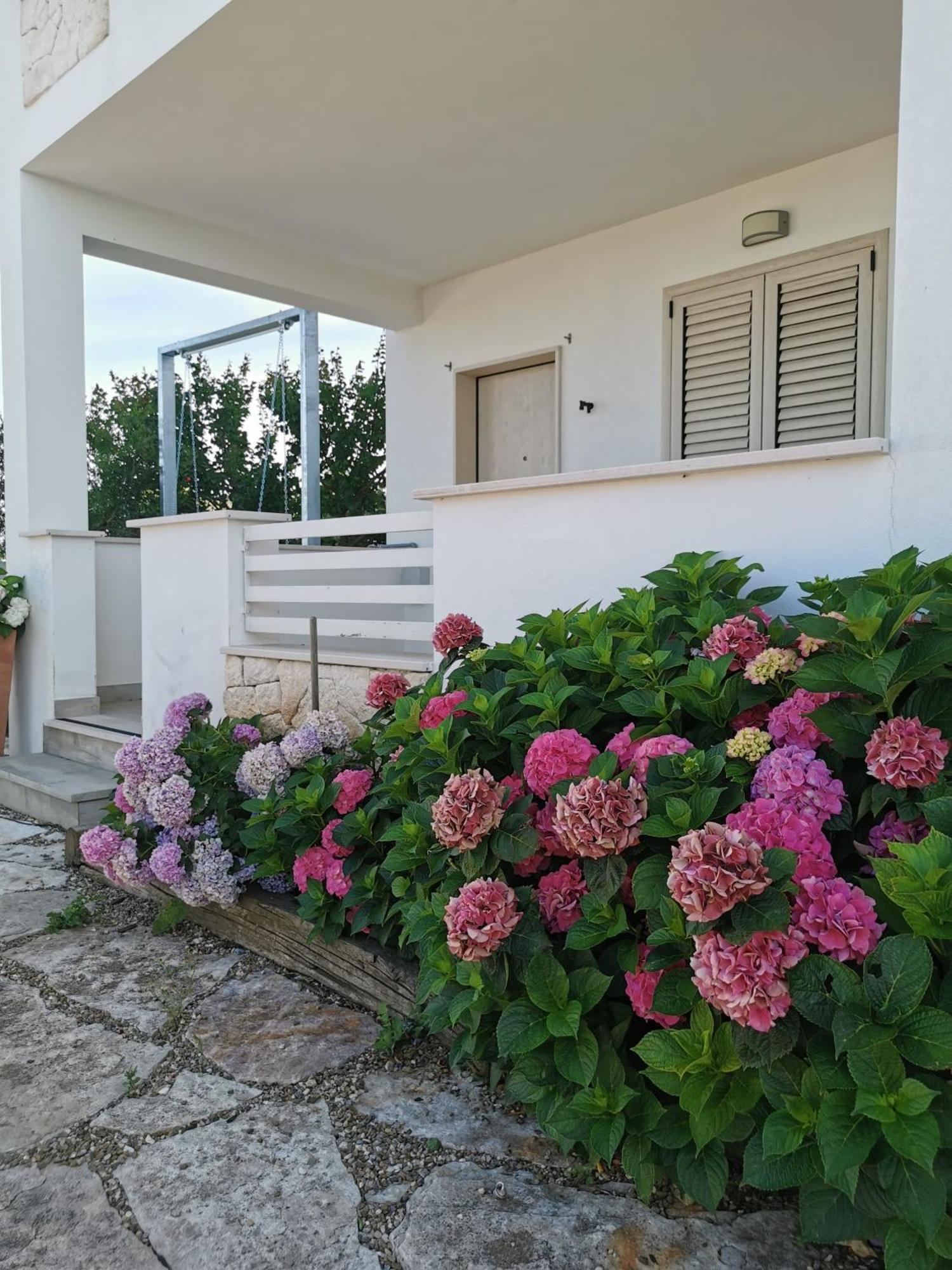 Apartament Vill'Aura Vieste Zewnętrze zdjęcie